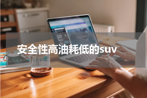 安全性高油耗低的suv