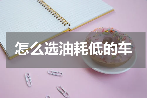 怎么选油耗低的车