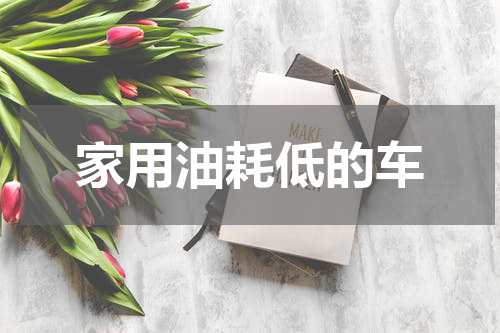 家用油耗低的车