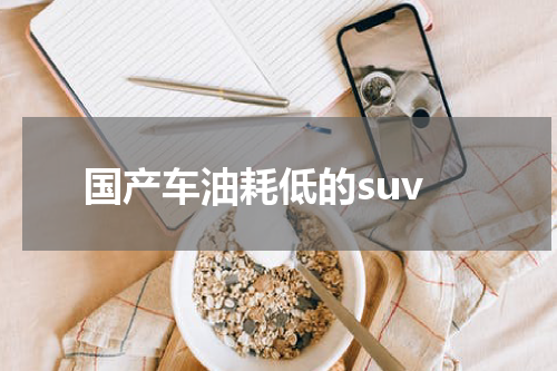 国产车油耗低的suv