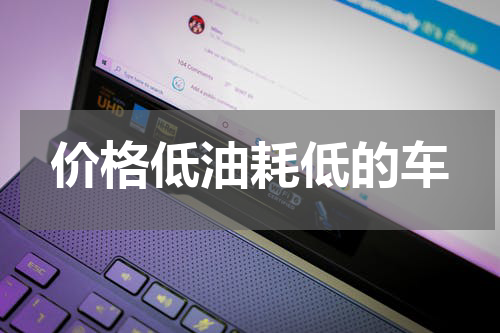 价格低油耗低的车