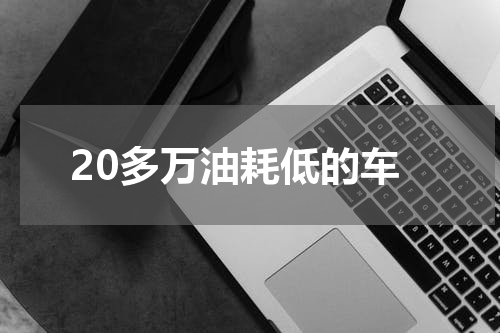 20多万油耗低的车