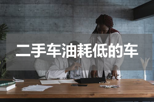 二手车油耗低的车
