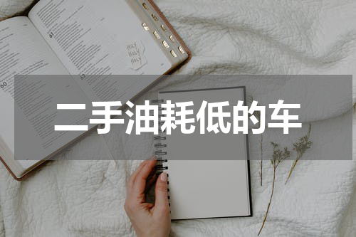 二手油耗低的车
