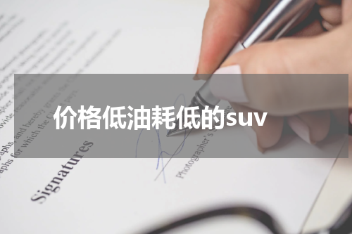 价格低油耗低的suv