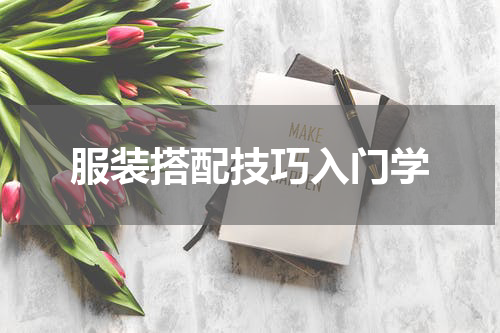 服装搭配技巧入门学