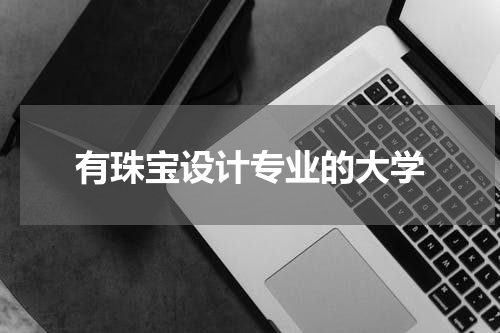 有珠宝设计专业的大学