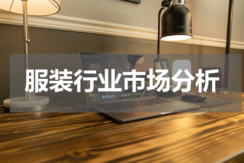 服装行业市场分析