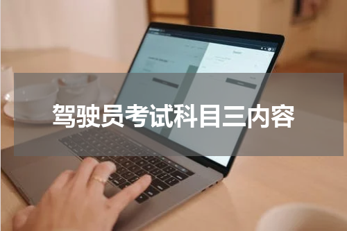 驾驶员考试科目三内容