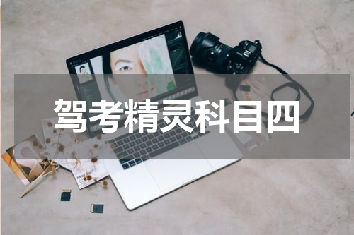 驾考精灵科目四