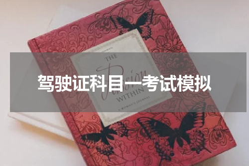 驾驶证科目一考试模拟