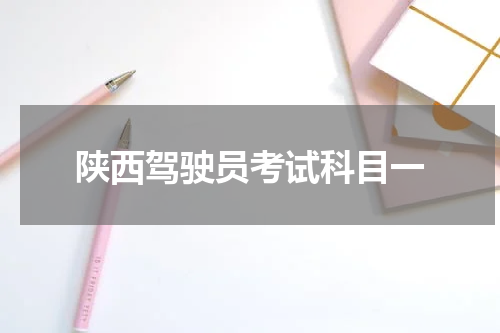 陕西驾驶员考试科目一