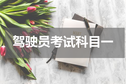 驾驶员考试科目一