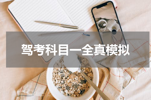 驾考科目一全真模拟