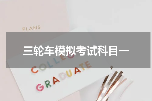 三轮车模拟考试科目一