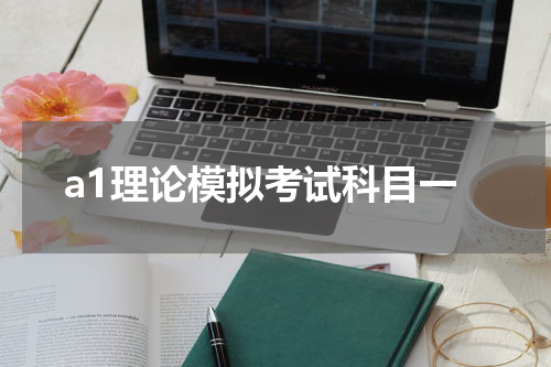 a1理论模拟考试科目一