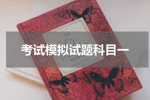 考试模拟试题科目一
