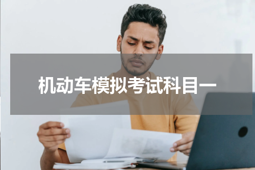 机动车模拟考试科目一