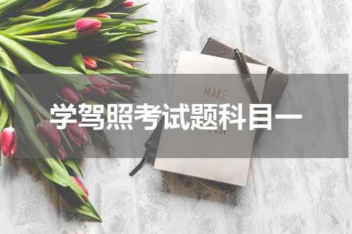 学驾照考试题科目一