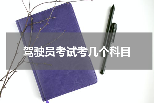 驾驶员考试考几个科目