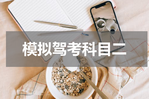 模拟驾考科目二