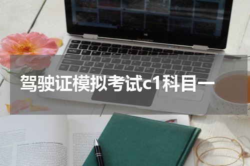 驾驶证模拟考试c1科目一