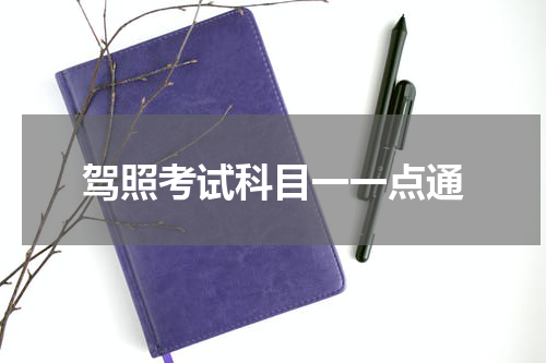 驾照考试科目一一点通