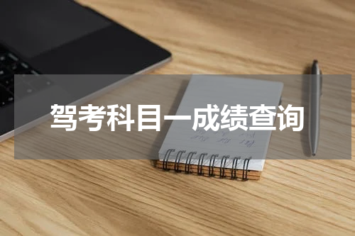 驾考科目一成绩查询