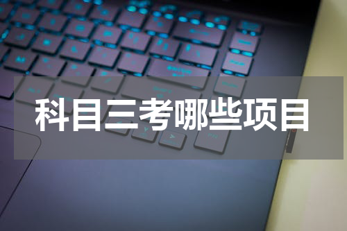 科目三考哪些项目