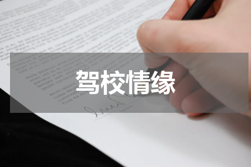 驾校情缘
