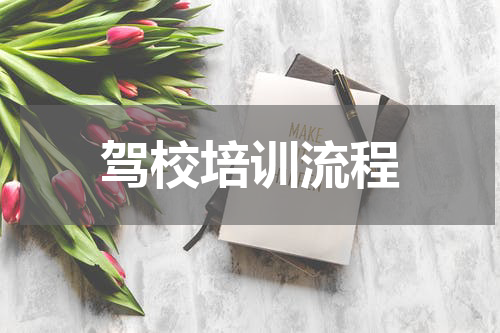 驾校培训流程