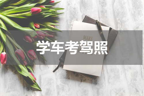 学车考驾照