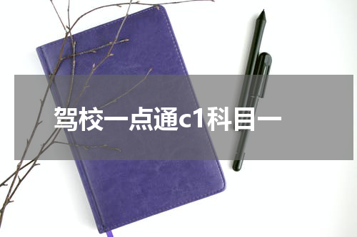 驾校一点通c1科目一