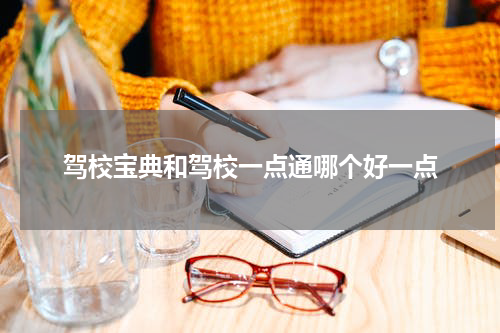 驾校宝典和驾校一点通哪个好一点