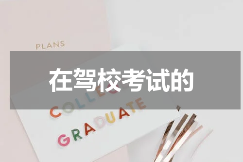 在驾校考试的