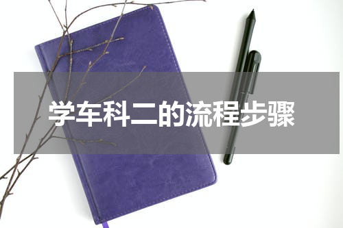 学车科二的流程步骤