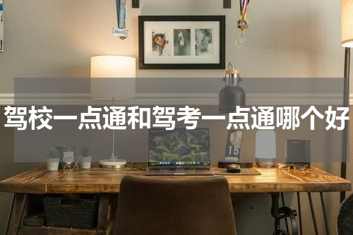 驾校一点通和驾考一点通哪个好
