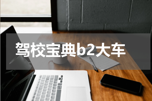 驾校宝典b2大车