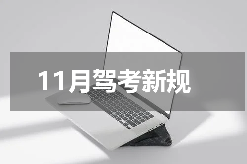 11月驾考新规