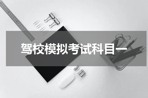 驾校模拟考试科目一