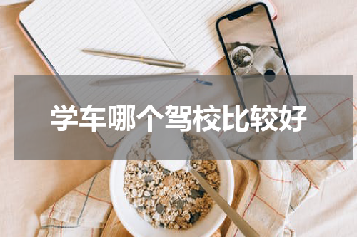 学车哪个驾校比较好