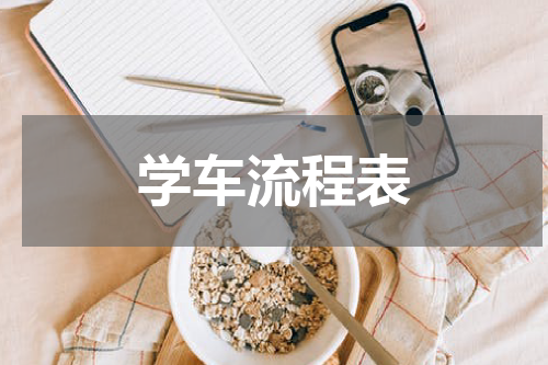 学车流程表