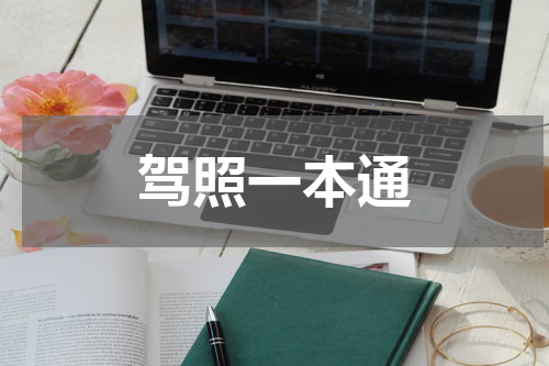 驾照一本通