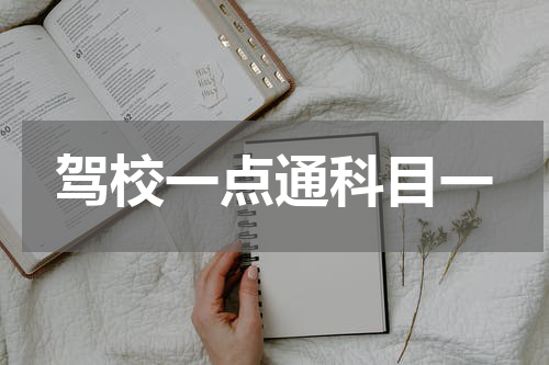 驾校一点通科目一