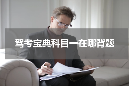 驾考宝典科目一在哪背题
