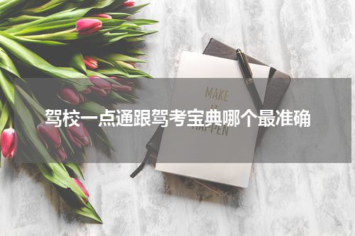 驾校一点通跟驾考宝典哪个最准确