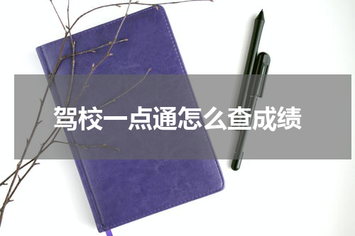 驾校一点通怎么查成绩
