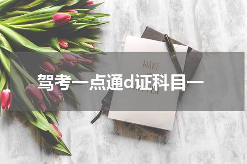 驾考一点通d证科目一