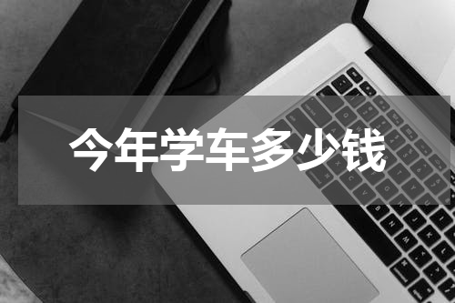 今年学车多少钱