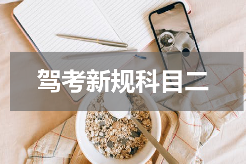 驾考新规科目二